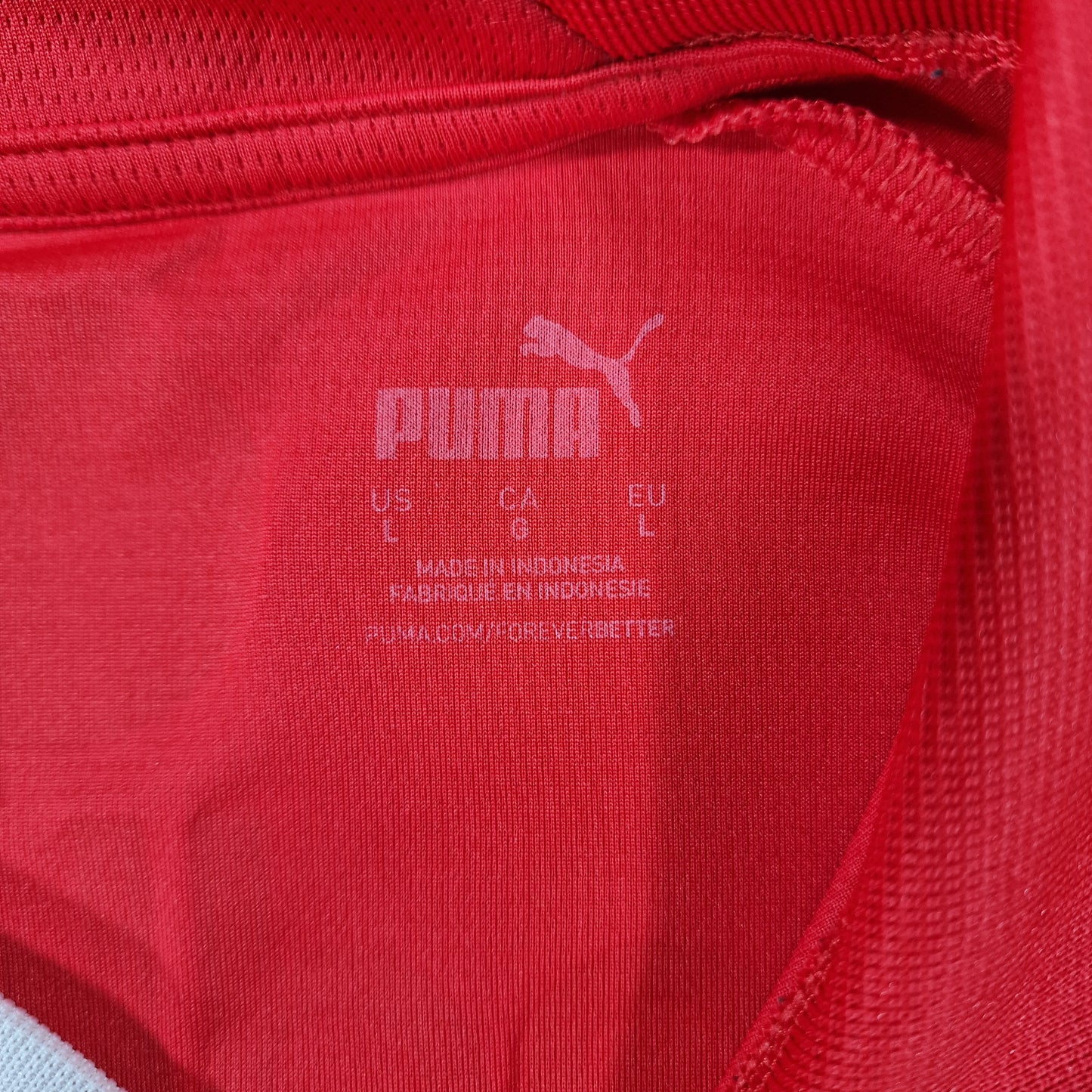 PSV Eindhoven 2023/2024 Home Football Shirt (L)
