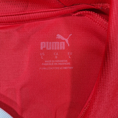 PSV Eindhoven 2023/2024 Home Football Shirt (L)